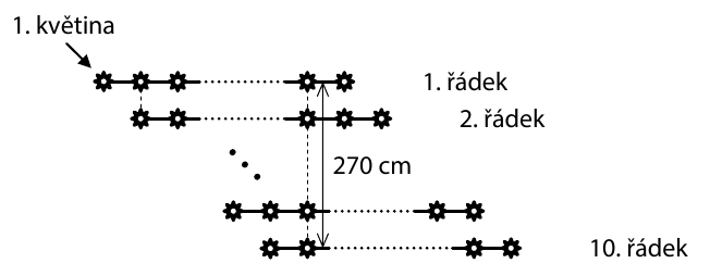 Diagram záhonu s květinami v řádcích