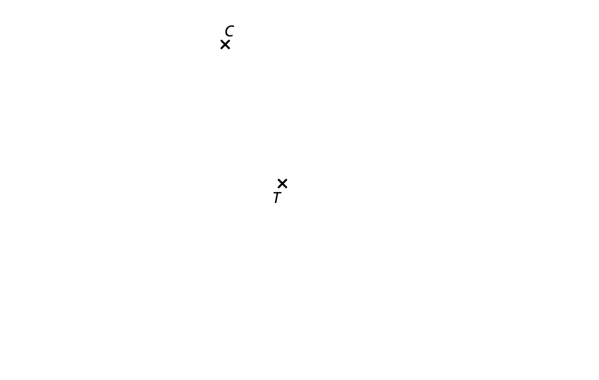 Body C a T v rovině